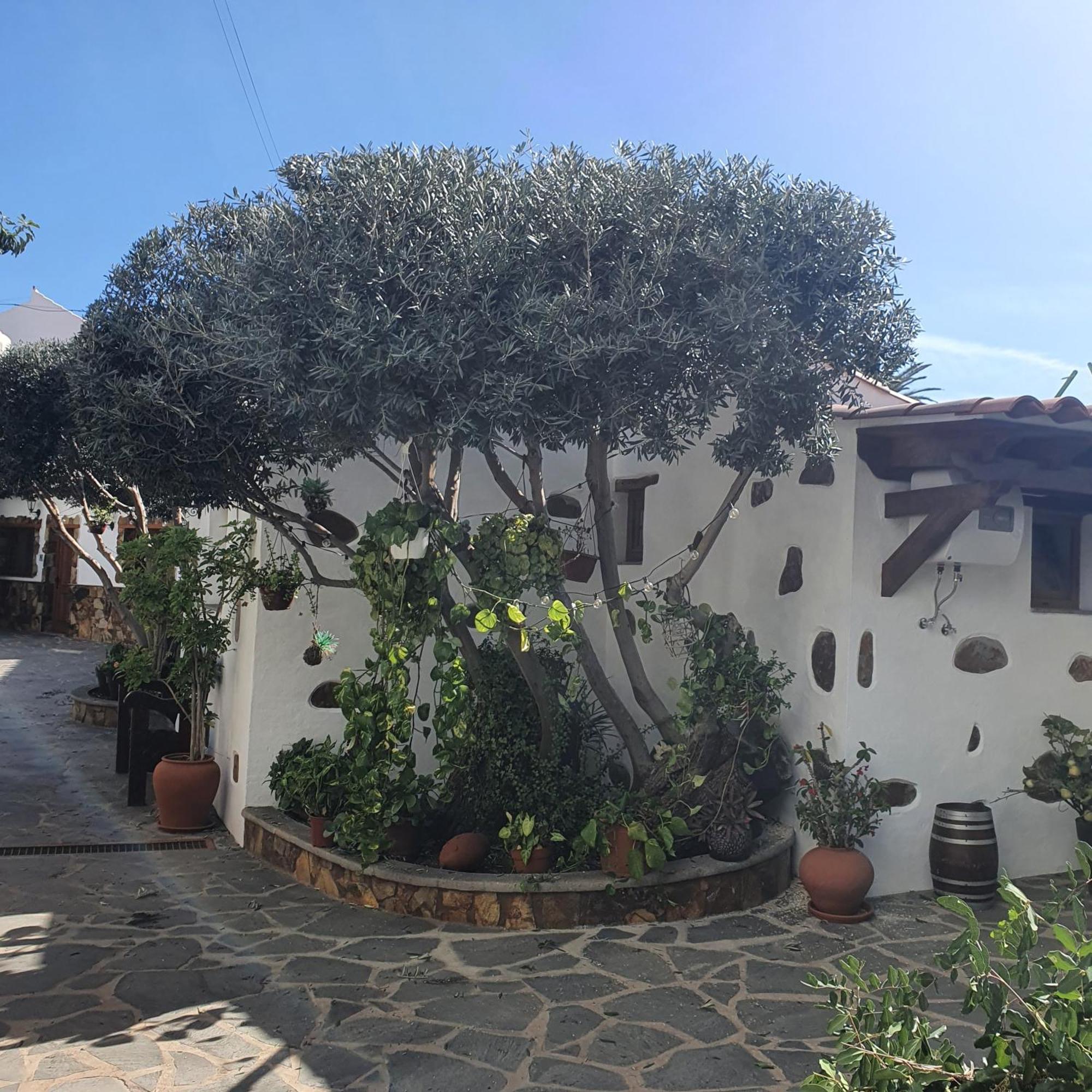 La Gallania De Papa Pepe Santa Lucia Εξωτερικό φωτογραφία