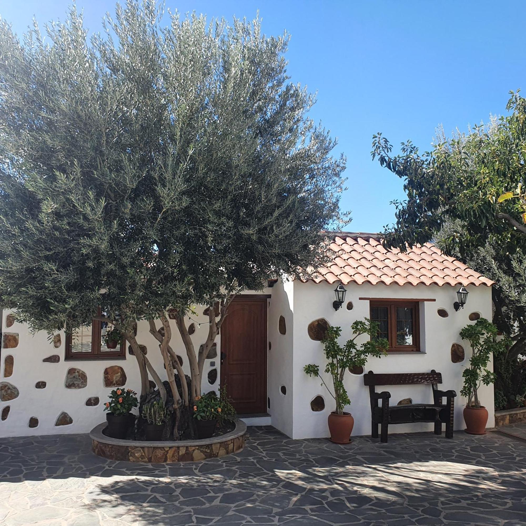 La Gallania De Papa Pepe Santa Lucia Εξωτερικό φωτογραφία